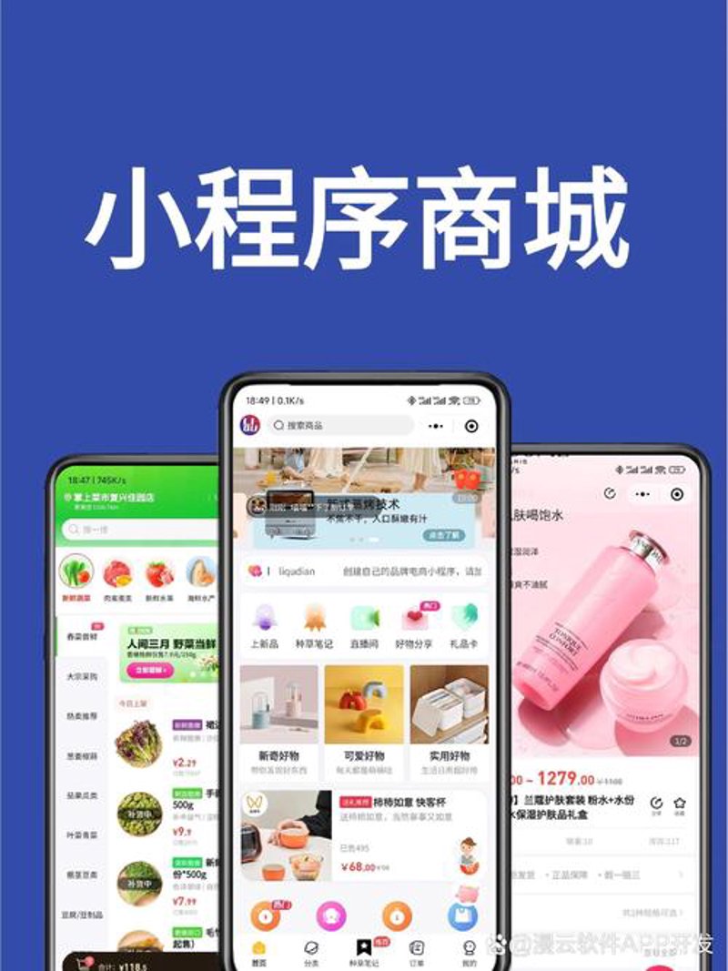 小程序开发：现代企业数字化转型的新工具